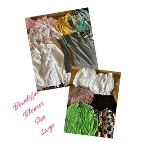 Various Women's Tops  (3 dozen $20-$25  each )